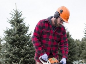 Christmas Tree Day gives these farmers something to celebrate